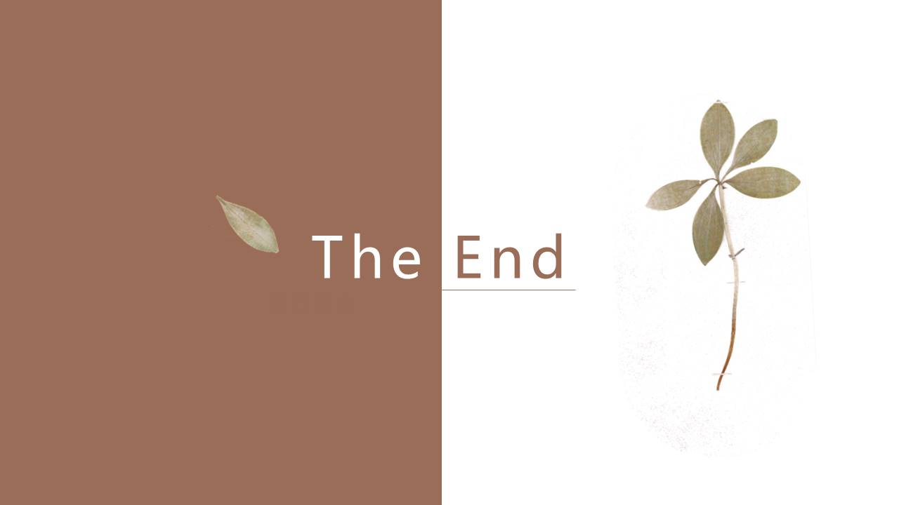 旅游画册 (77).pptx